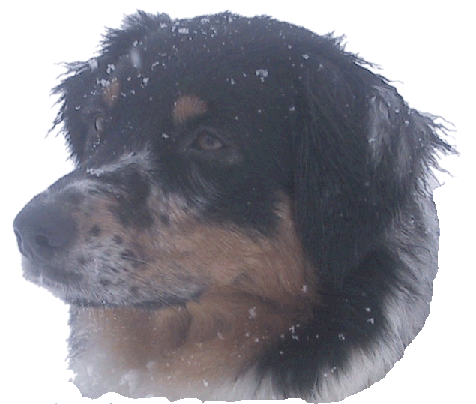 Klick um einzutreten